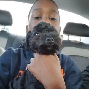 Meet your Posher, Payton